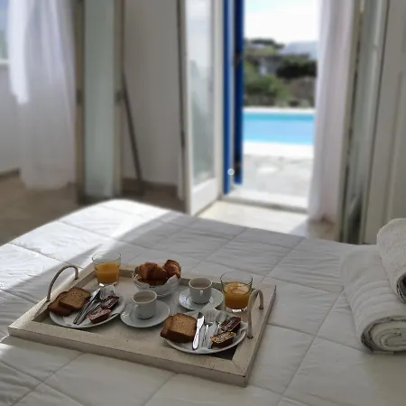 Villa Enastron Mykonos *